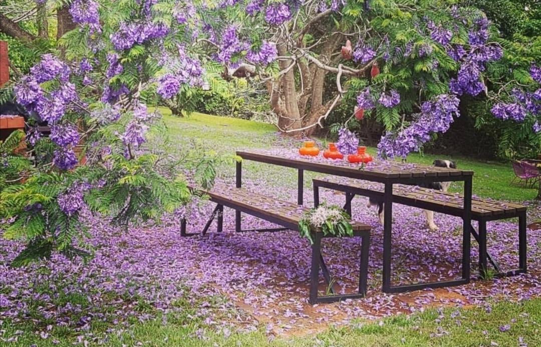 Wyndover Mountain Retreat Beechmont Εξωτερικό φωτογραφία