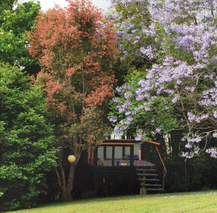 Wyndover Mountain Retreat Beechmont Εξωτερικό φωτογραφία