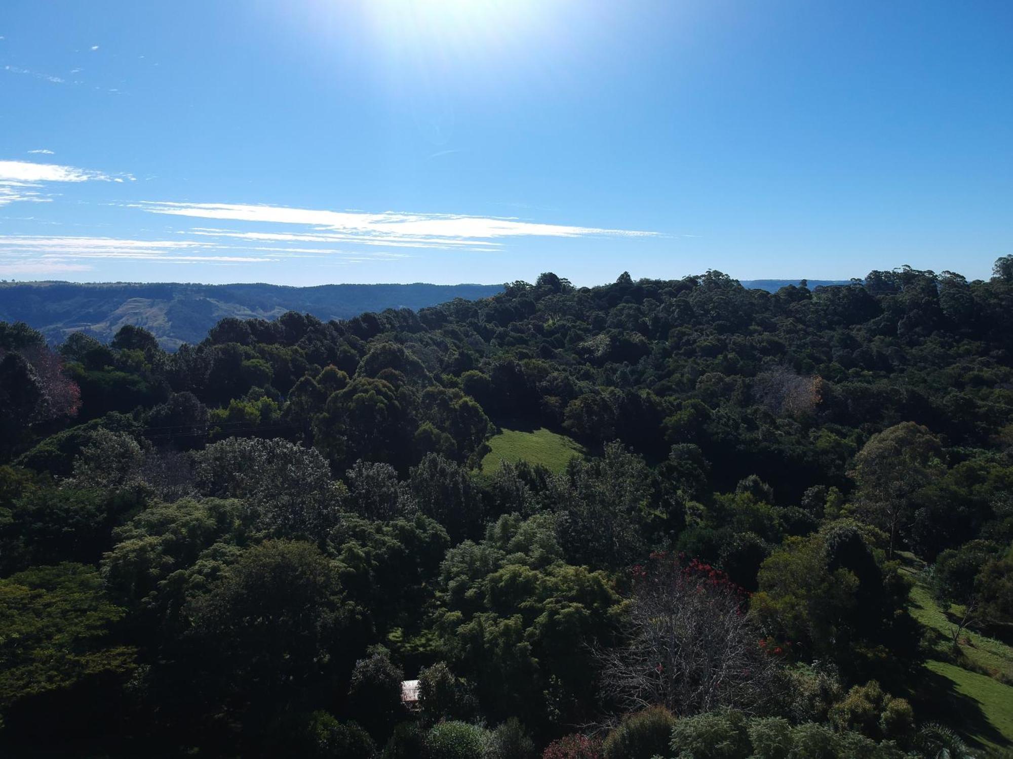 Wyndover Mountain Retreat Beechmont Εξωτερικό φωτογραφία